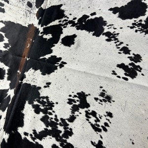 Tapis en peau de vache tacheté magnifique et énorme