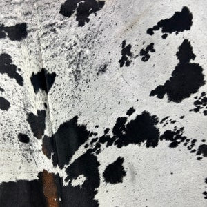 Tapis en peau de vache tacheté magnifique et énorme